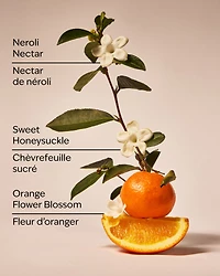 Backyard Honeysuckle Wallflowers Fragrance Refill