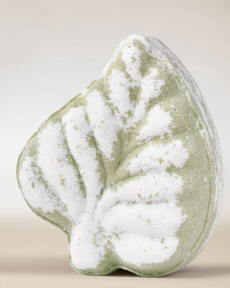 Eucalyptus Spearmint Bath Fizzy