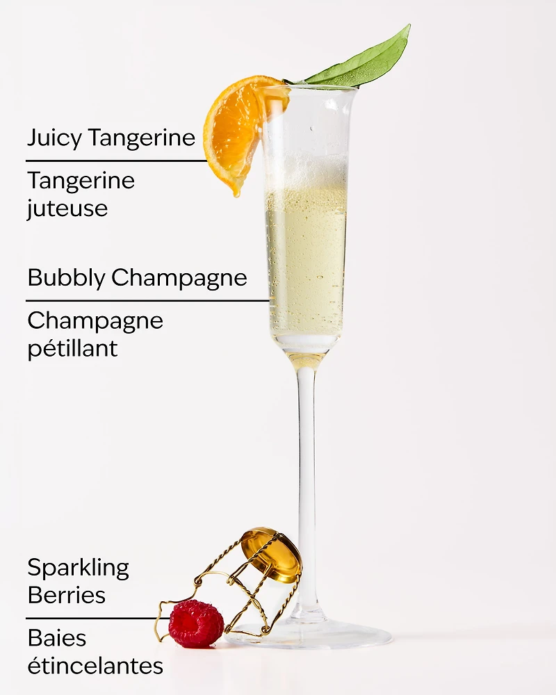 Champagne Toast Gift Set