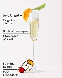 Champagne Toast Gift Set