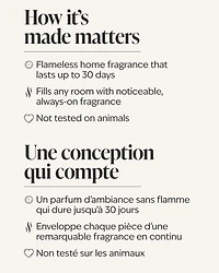 No Diving Wallflowers Fragrance Refill