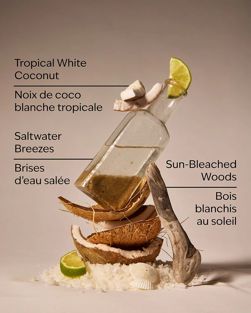 Waikiki Beach Coconut Car Fragrance Refill
