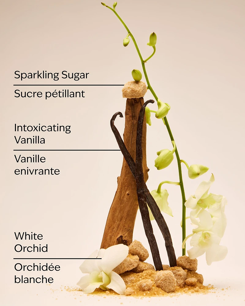 Warm Vanilla Sugar Gift Set