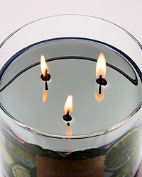 Bergamot Waters 3-Wick Candle
