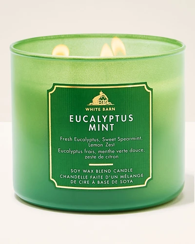 Eucalyptus Mint 3-Wick Candle