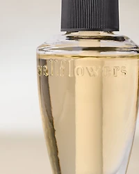 Coffee & Whiskey Wallflowers Fragrance Refill