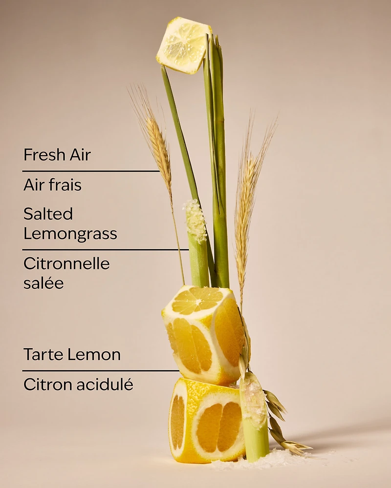 Laundry Room Lemon Concentrated Room Spray