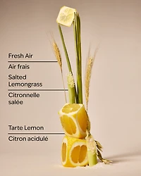 Laundry Room Lemon Concentrated Room Spray