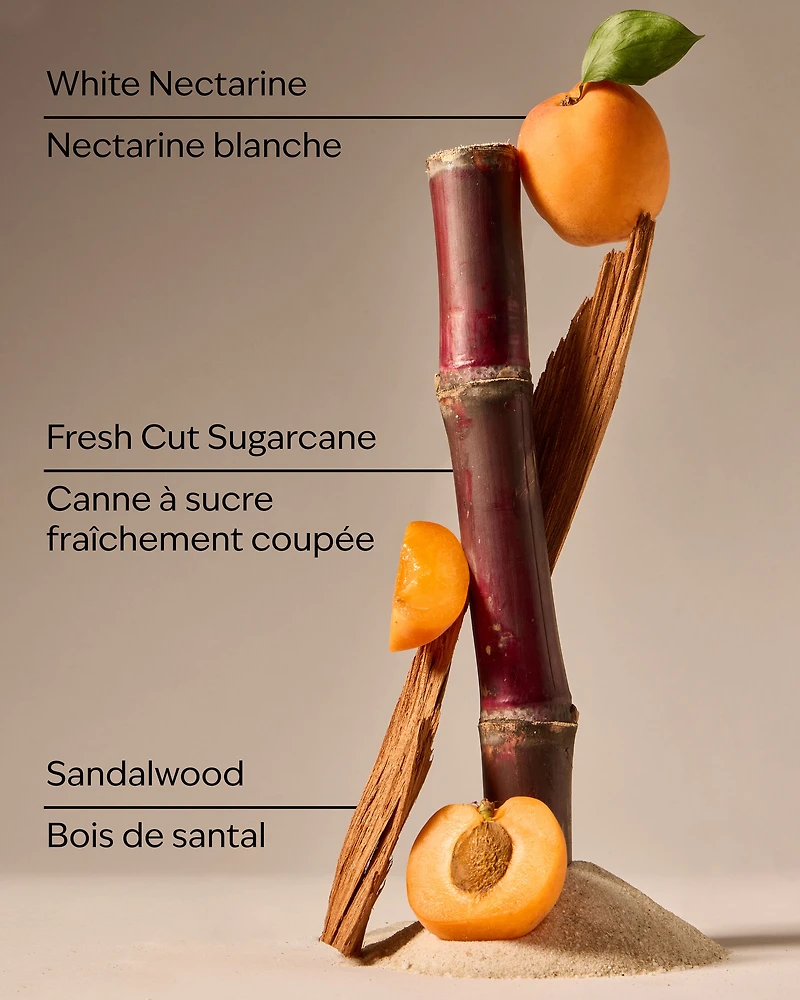 Fiji White Sands PocketBac Hand Sanitizer