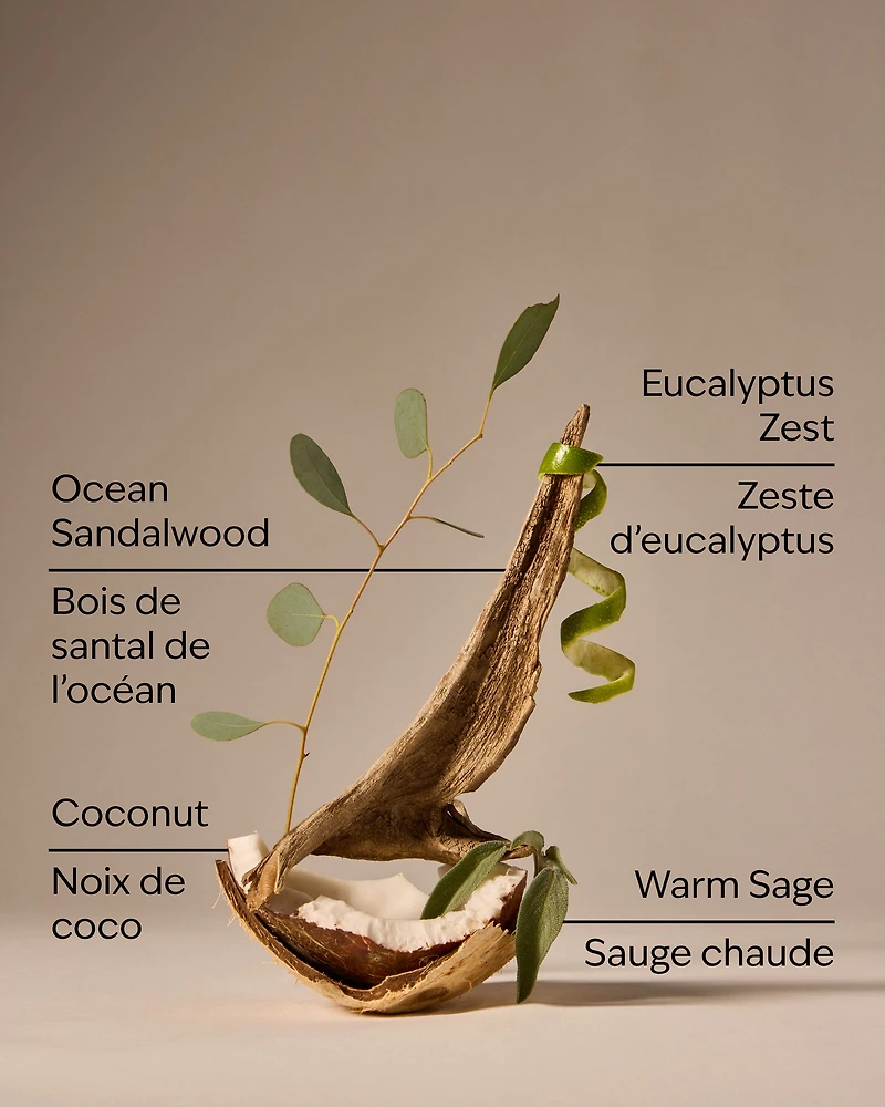 Warm Ocean Breeze Single Wick Candle