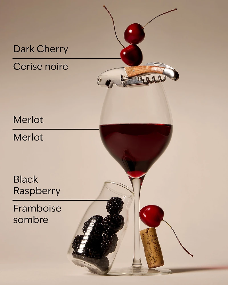 Black Cherry Merlot Gentle & Clean Foaming Hand Soap Refill