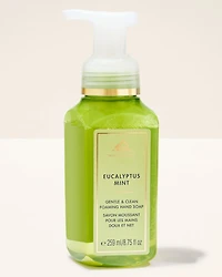 Eucalyptus Mint Gentle & Clean Foaming Hand Soap