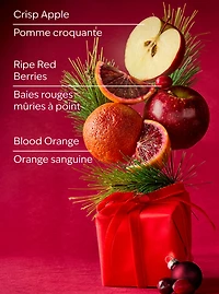 Bright Christmas Morning Car Fragrance Refill