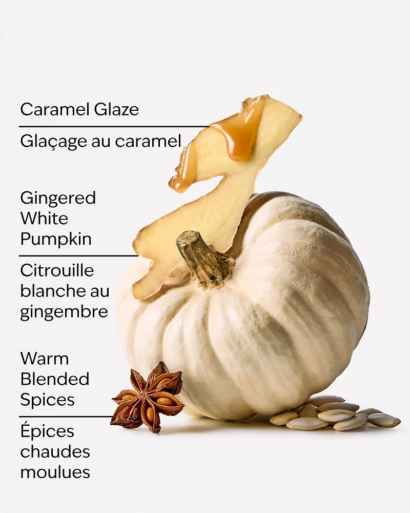 White Pumpkin Wallflowers Fragrance Refill