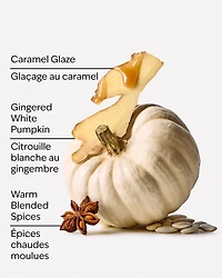 White Pumpkin Wallflowers Fragrance Refill