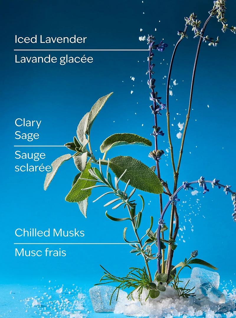 Iced Blue Lavender Gentle & Clean Foaming Hand Soap