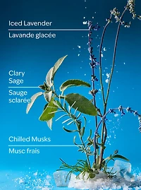 Iced Blue Lavender Gentle & Clean Foaming Hand Soap