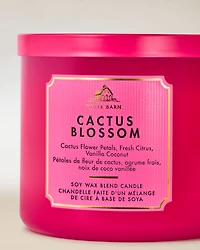Cactus Blossom 3-Wick Candle