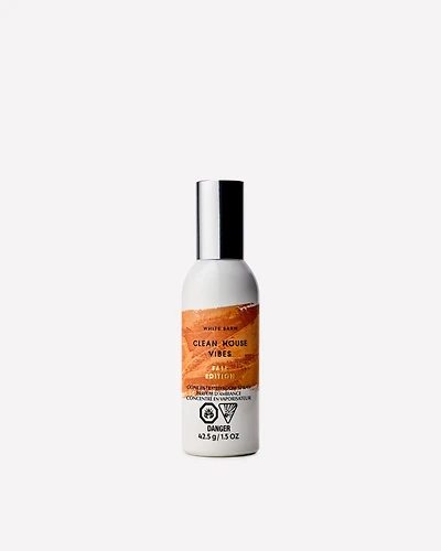 Clean House Vibes - Fall Edition Concentrated Room Spray