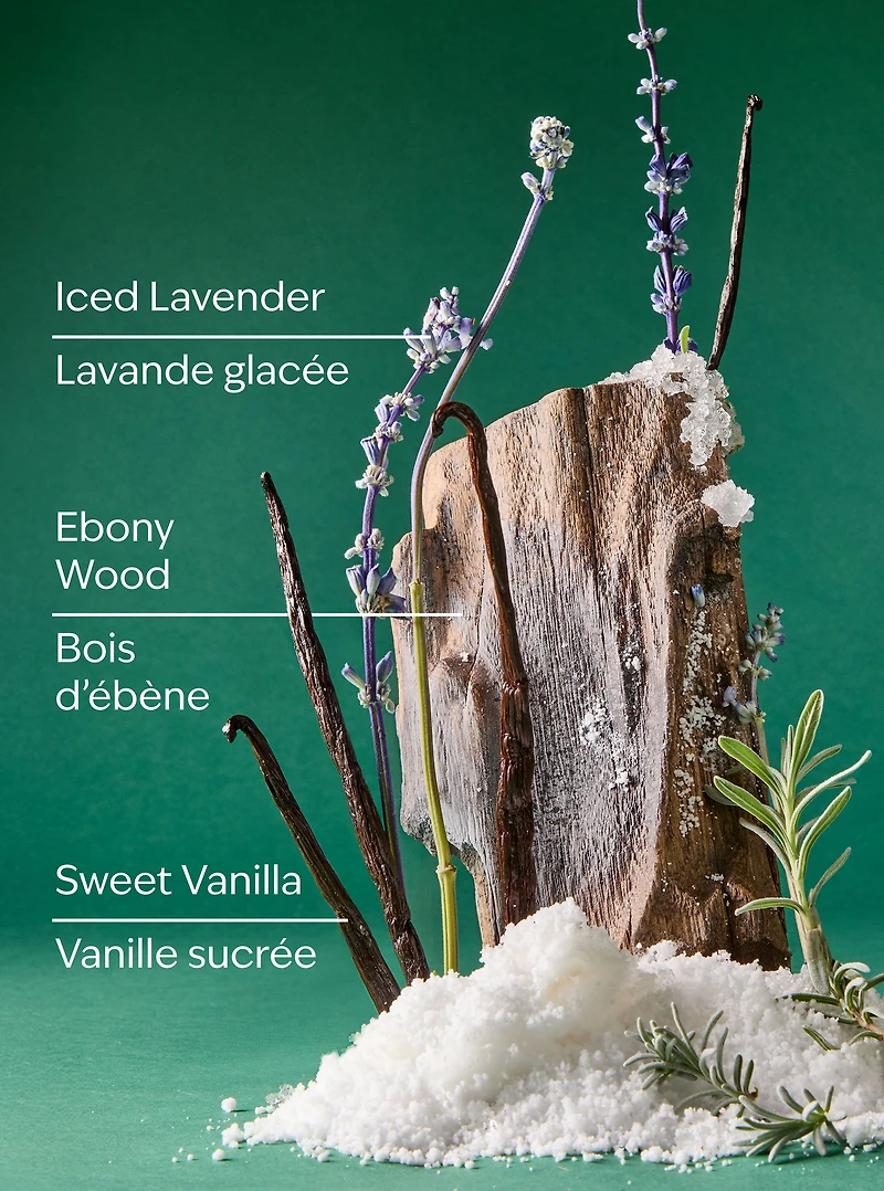 Iced Vanilla Woods Wallflowers Fragrance Refill