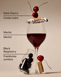 Black Cherry Merlot Gentle & Clean Foaming Hand Soap