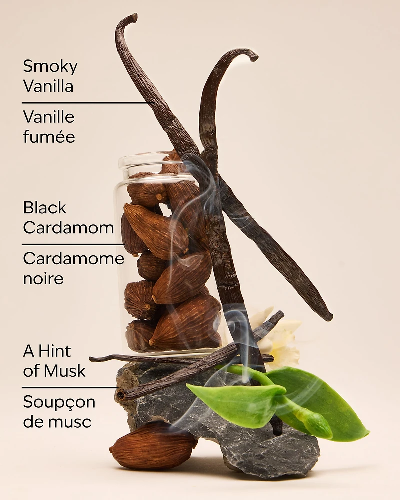 Noir Car Fragrance Refill