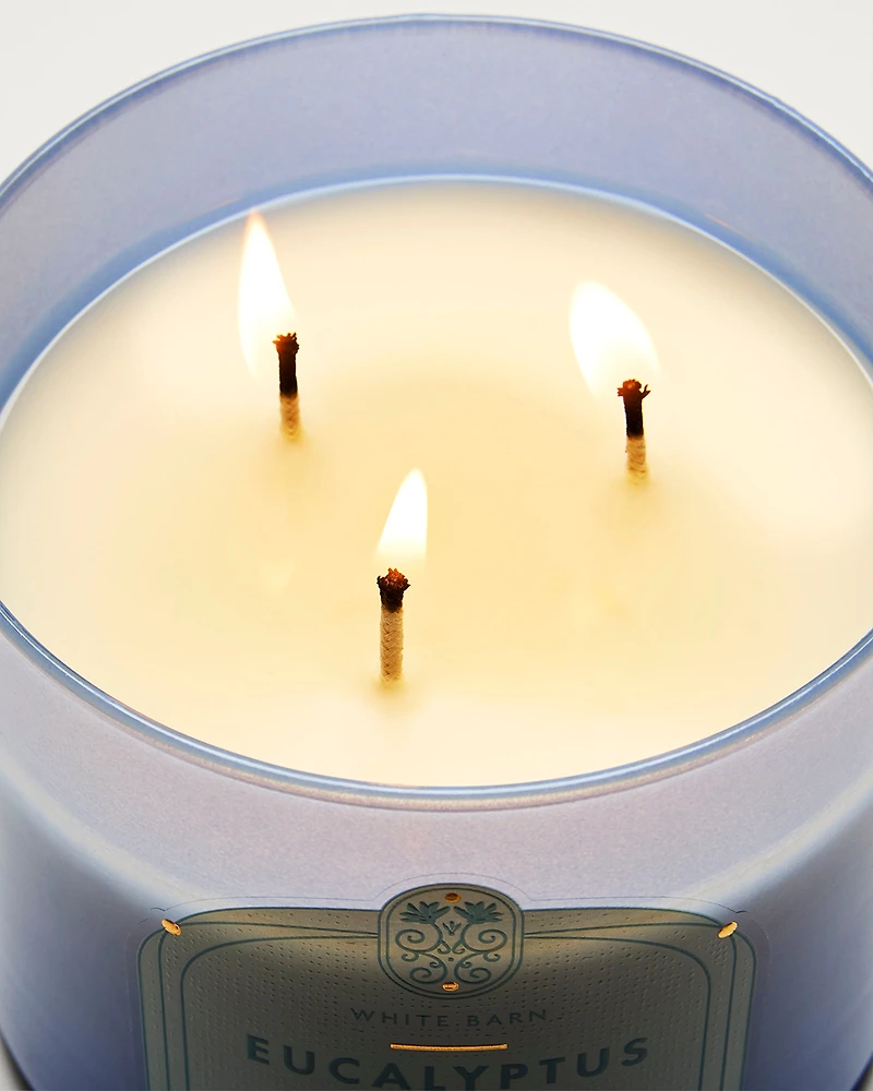 Eucalyptus Rain 3-Wick Candle