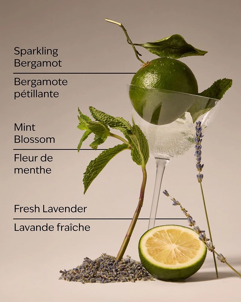 Clean House Vibes Wallflowers Fragrance Refill