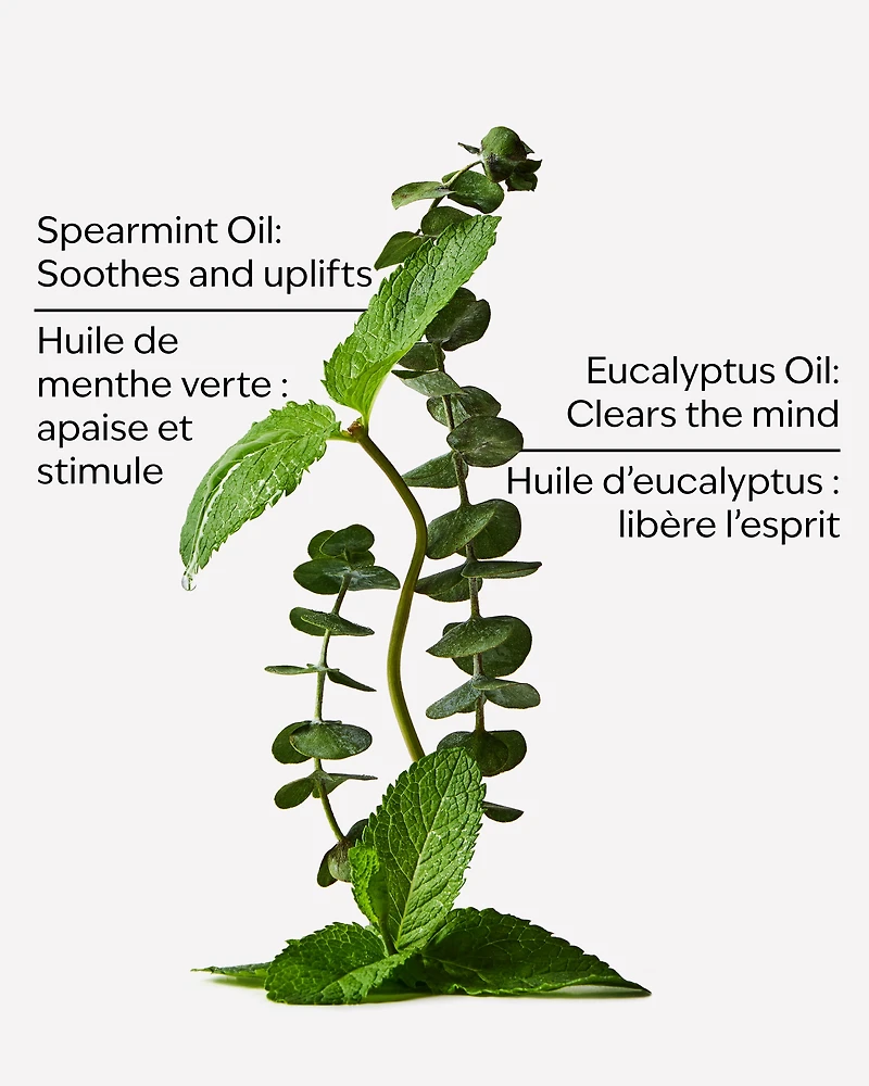 Eucalyptus Spearmint Moisturizing Body Lotion