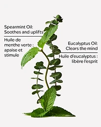 Eucalyptus Spearmint Moisturizing Body Lotion