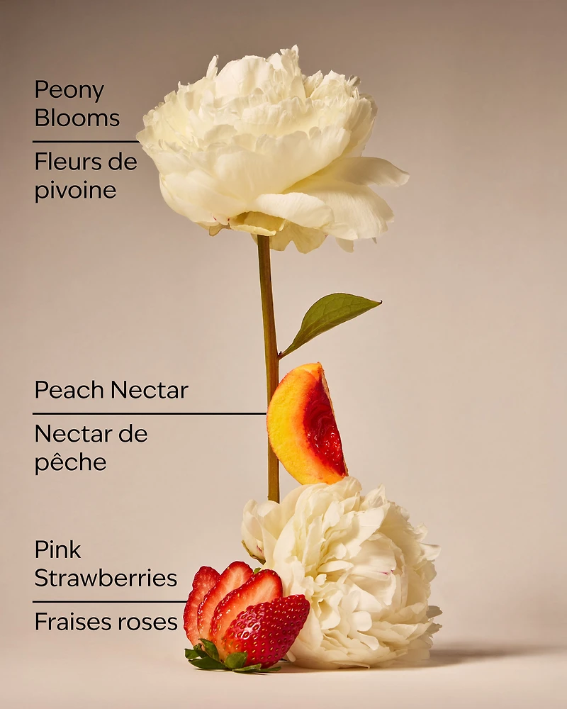 Gingham Gorgeous Ultimate Hydration Body Cream