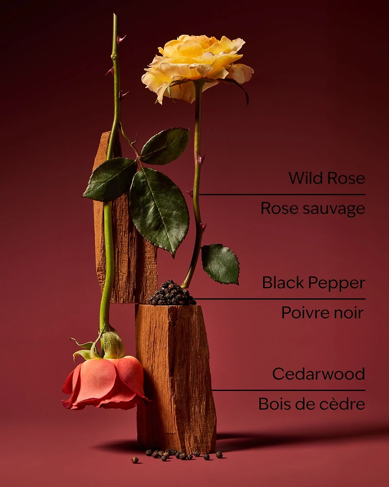 Nocturnal Rose Wallflowers Fragrance Refill