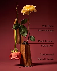 Nocturnal Rose Wallflowers Fragrance Refill