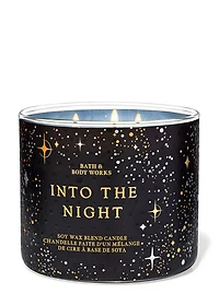 Into the Night 3-Wick Candle
