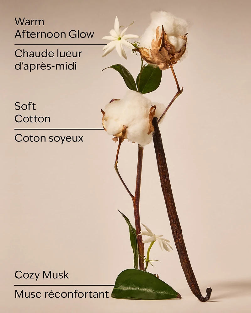 Cat Nap Wallflowers Fragrance Refill