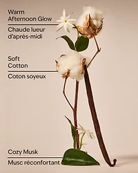 Cat Nap Wallflowers Fragrance Refill