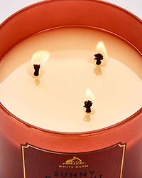 Sunny Coconut 3-Wick Candle