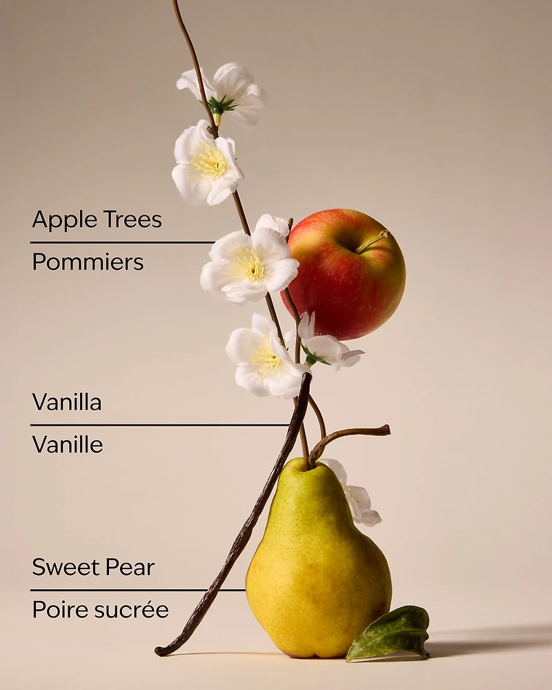 Spring Apple Car Fragrance Refill