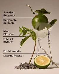 Clean House Vibes Concentrated Room Spray