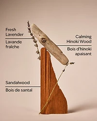 Lavender & Hinoki Single Wick Candle