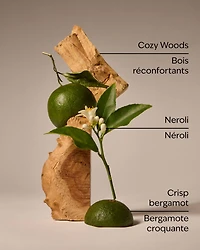 Book Loft Car Fragrance Refill