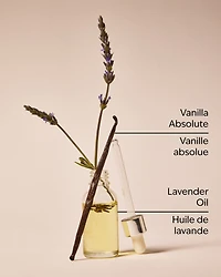 Lavender + Vanilla Hand Sanitizer Spray