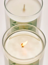 Eucalyptus Spearmint Single Wick Candle