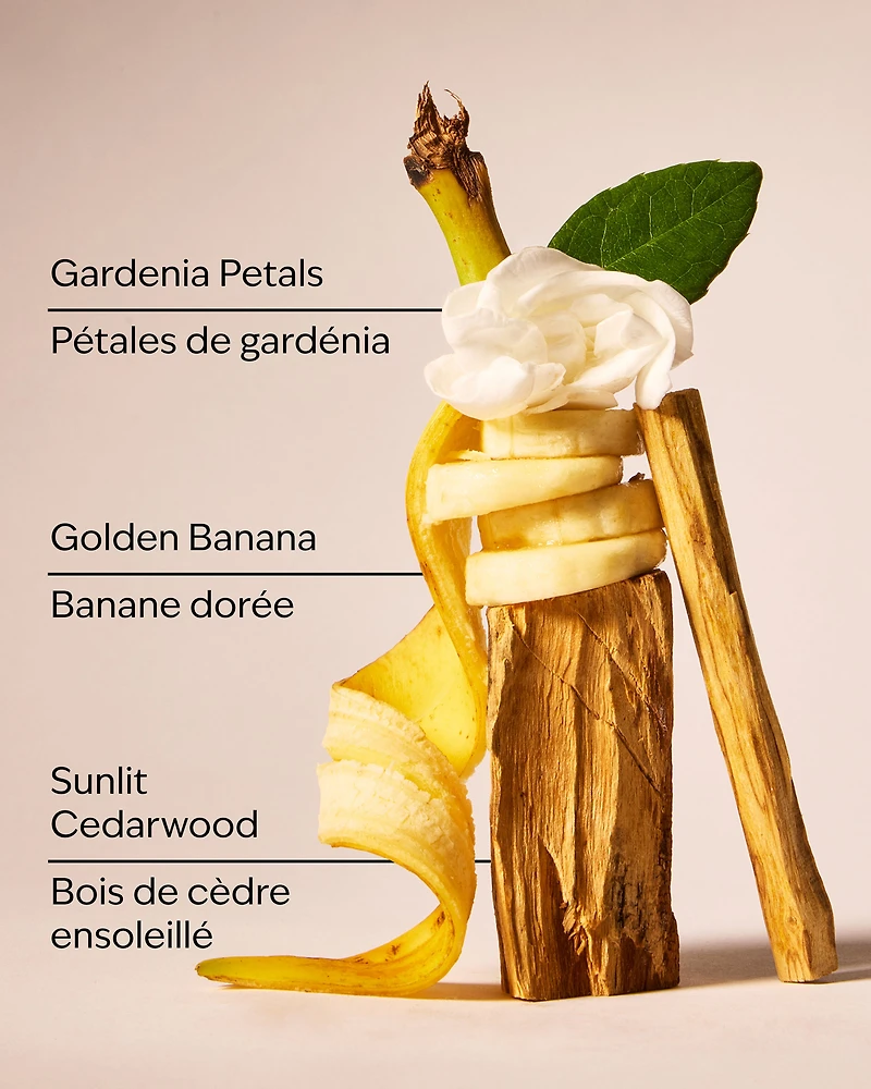 Dreaming of Rio Fine Fragrance Mist