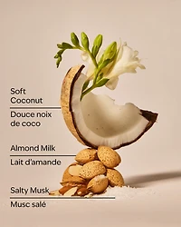 Coconut Linen Wallflowers Fragrance Refill