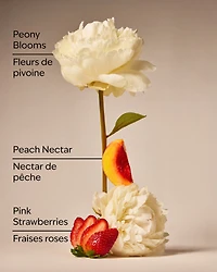 Gingham Gorgeous Moisturizing Body Wash