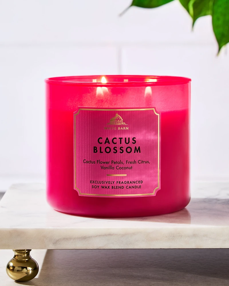 Cactus Blossom 3-Wick Candle