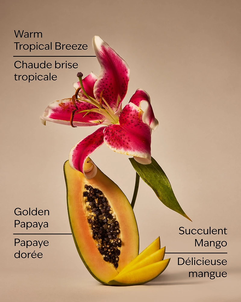 Mango Papaya Paradise Gentle & Clean Foaming Hand Soap