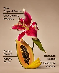 Mango Papaya Paradise Gentle & Clean Foaming Hand Soap