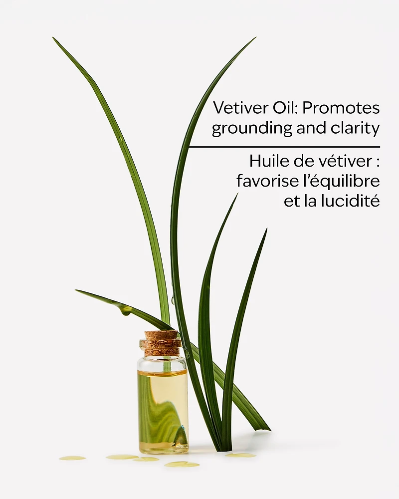 Vetiver Moisturizing Body Lotion